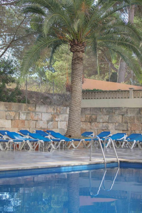 Hotel Elegance Playa Arenal à El Arenal  Facilités photo